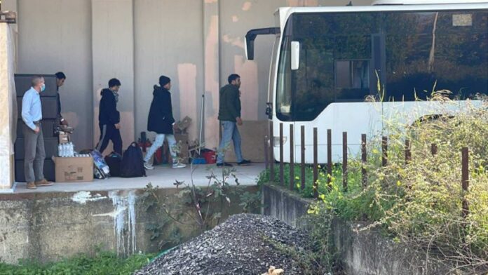 metanastes souda.jpg