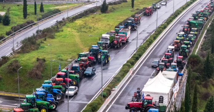 mploko2 1200x630.jpg