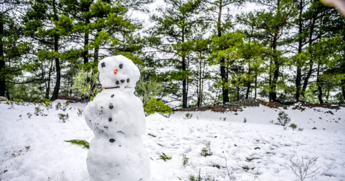 xionia2 eurok 1200x630.jpg