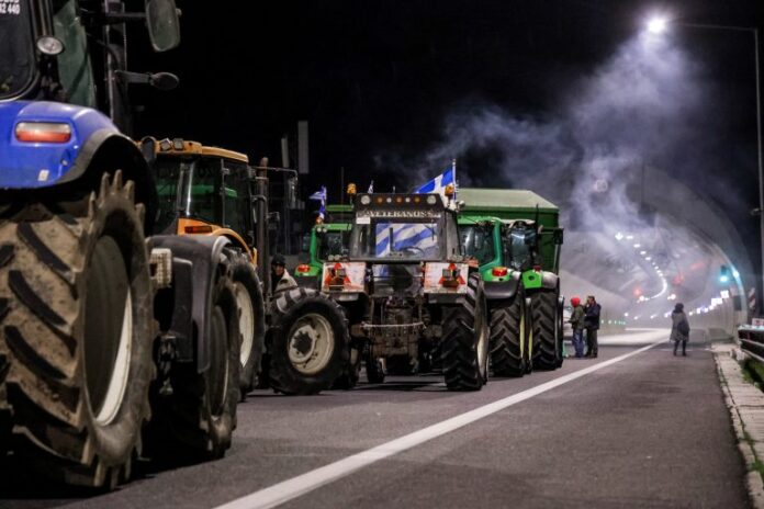 6804105 768x512 1.jpg