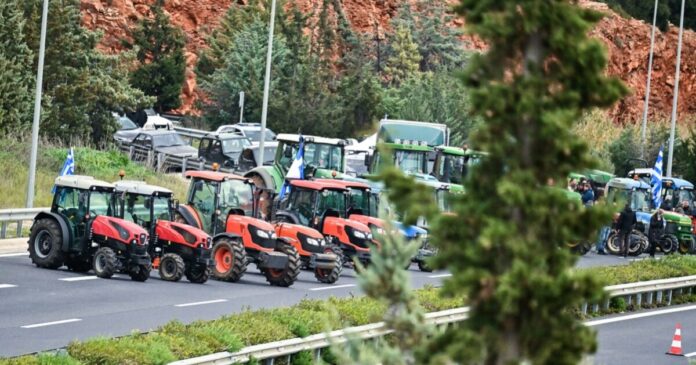 agrotes 5 1200x630.jpg