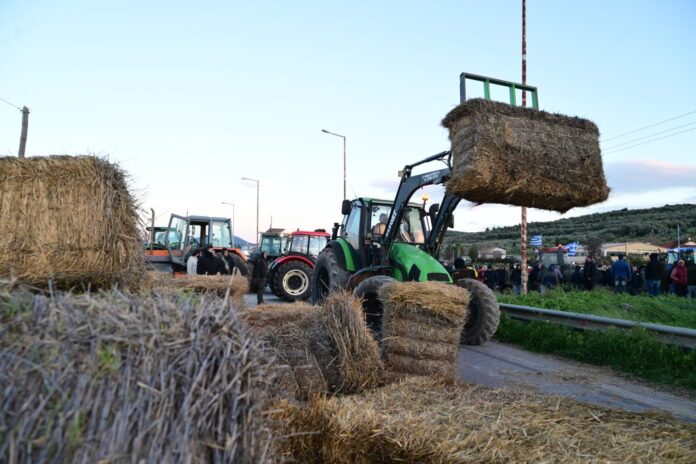 agrotes 9 1 1024x683 1.jpg