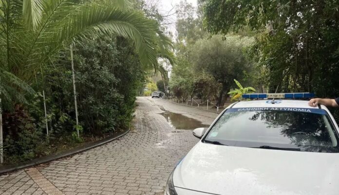 foinikountou e1766038177569.jpg