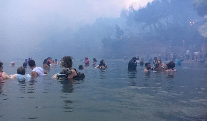 fotia thalassa mati 2.jpg