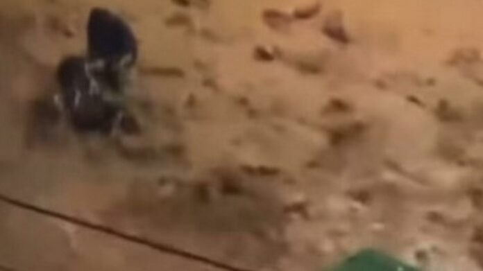 glyfada diaswsi 2.jpg