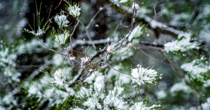 kairos xionia 2 1 1200x630.jpg