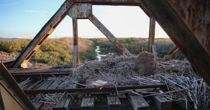 rages trenou eurok 1200x630.jpg