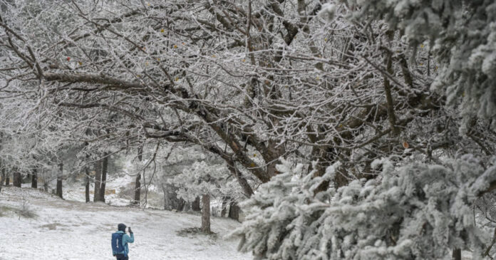 xioni eurok 1200x630.jpg