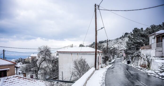 xionia 1 1200x630.jpg