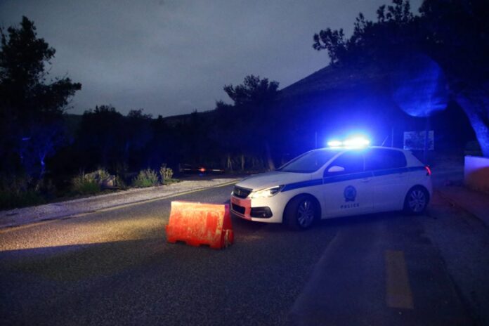 4969096 1013x675.jpg