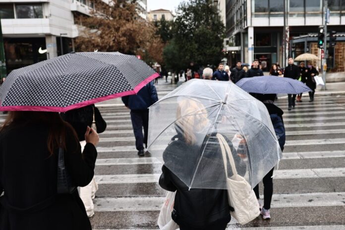 5021150 1013x675.jpg