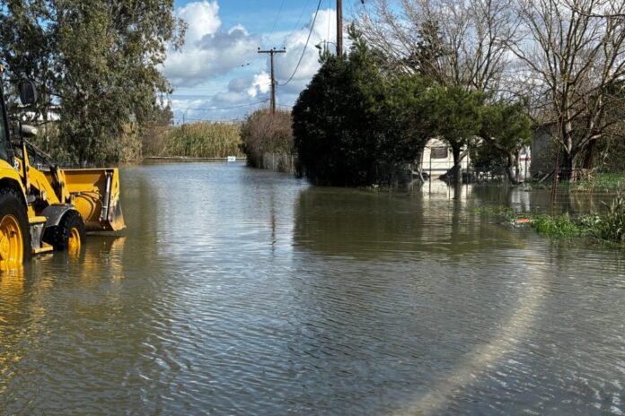 5041381 1013x675.jpg