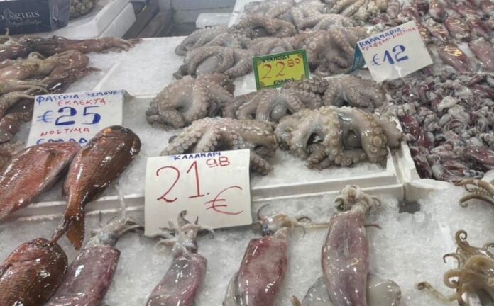 befunky collage234 2026 02 22t115753.376.jpg