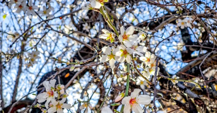 anoixi eurok 1200x630.jpg