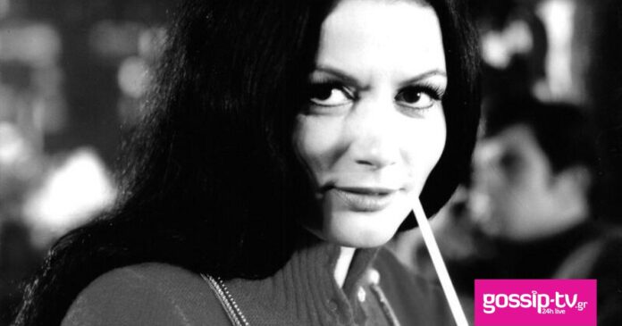 b2db46be zwzw sapoyntzakh 07 800x800 og.jpg