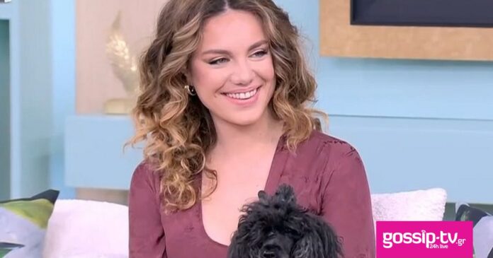 f0e3b7d7 arxeio lhpshs 2026 02 12t135437828 og.jpg