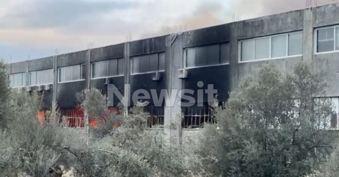 fotia spata 1 1200x630.jpg