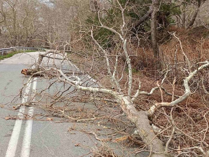 kakokairia 1samothraki.jpg