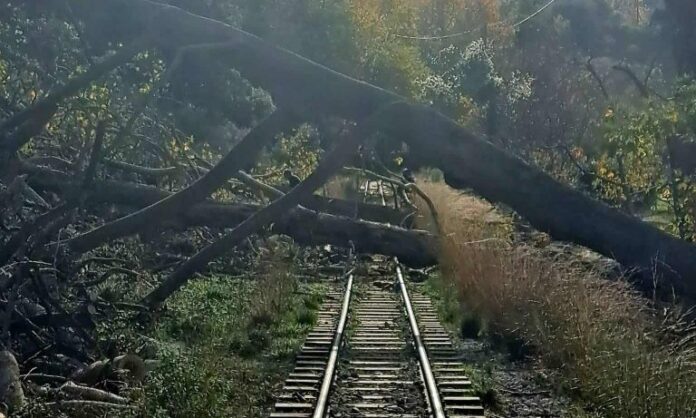 kalavryta odontotos diakopi 1 768x461 1.jpg