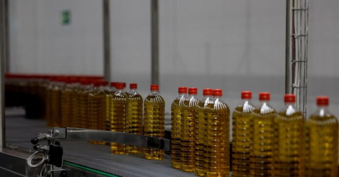 oliveoil 1200x630.jpg