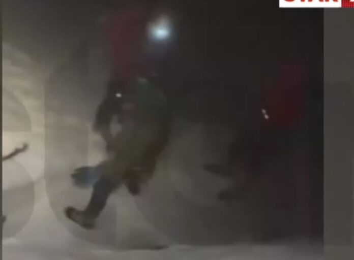 parnassos oreivates.jpg