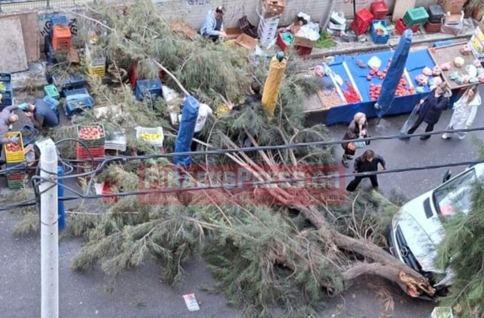 peiraias ptosi dentrou2 1027x675.jpeg