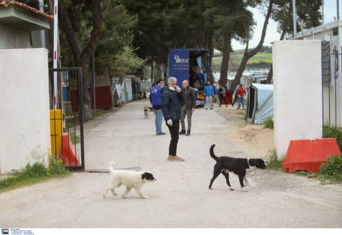 ritsona domi 983x675.jpg