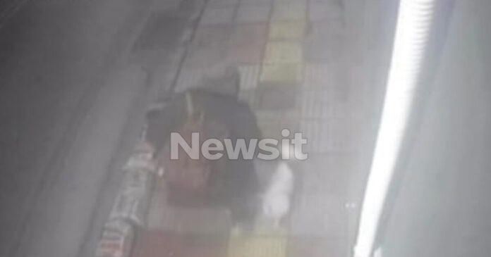 skylos logo 1200x630.jpg