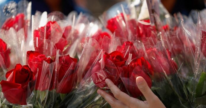 valentine roses 1200x630.jpg