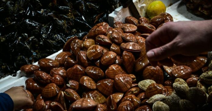 varvakeios psarika eurok 2 1200x630.jpg