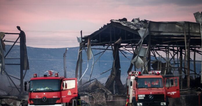 violanta 9 1 1200x630.jpg