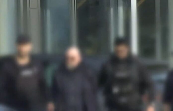 violanta sillipsi.jpg