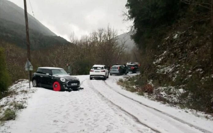 ioannina papigko 1.jpg