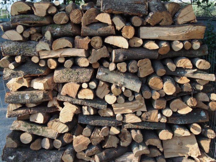 kausoxila peyki xyla tzaki.jpg