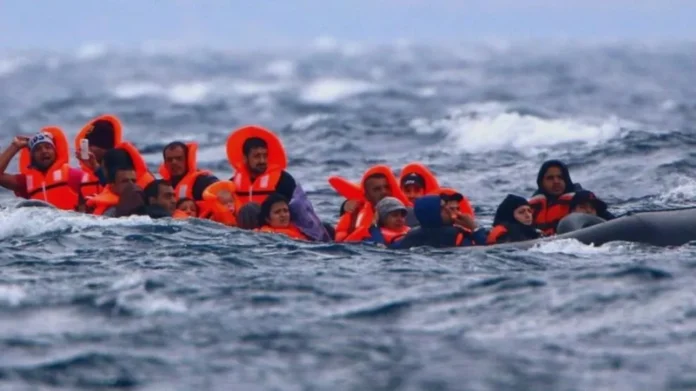 metanastes thalassa iwebp.webp.webp