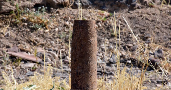 ovida 25032026 1200x630.jpg