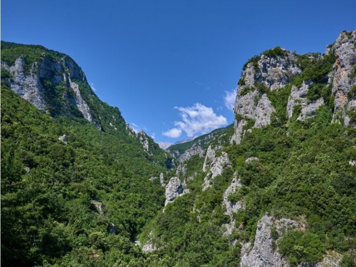website olympos 768x577 1.jpg