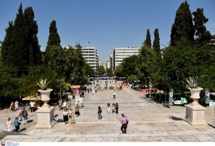 4288103 768x522 1.jpg