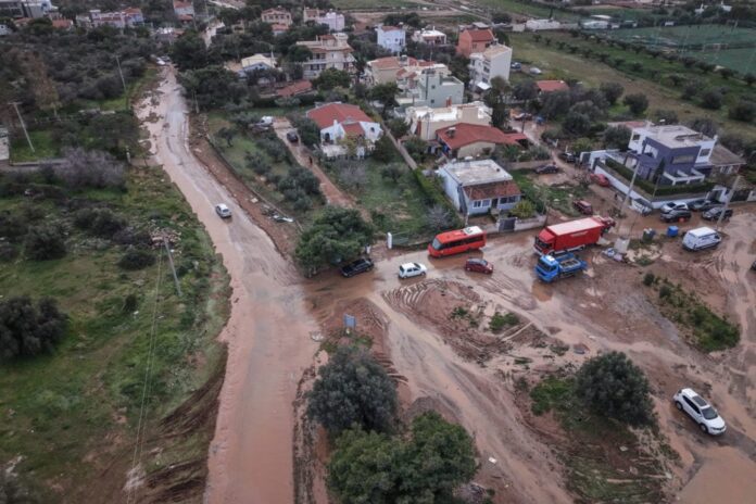 4999205 1013x675.jpg