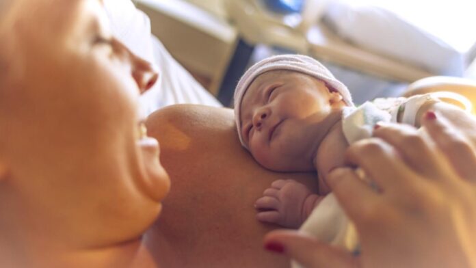 65706 55934 sts 0 1.jpg