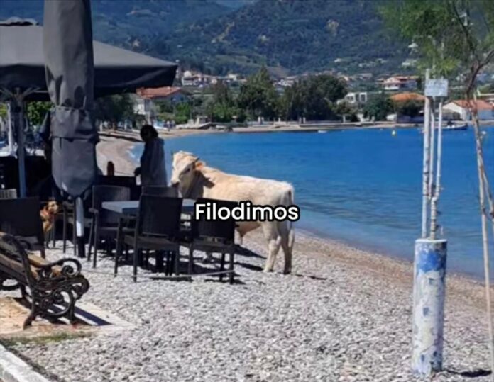 683462422 1602948961835914 8483722142803059923 n 1.jpg