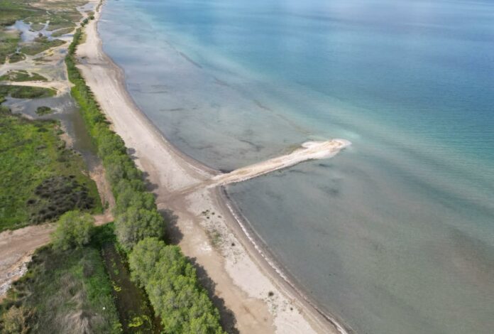 7666eaa1 4428 4a43 afaf e8d1666516e4.jpg