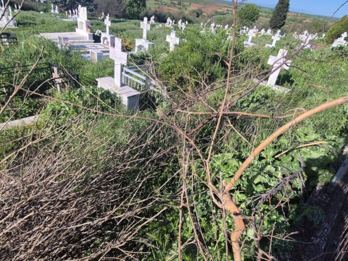 fb img 1777291094800 1024x768 1.jpg