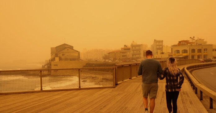 afrikaniki skoni kriti 8 1200x630.jpg