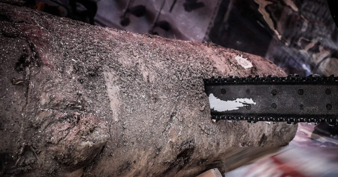 alisopriono 29042026 1200x630.jpg