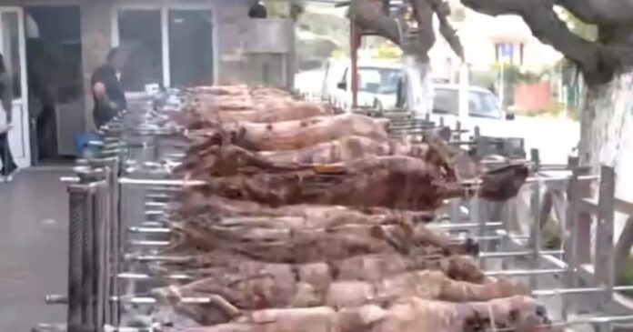 arnia peiraias 1200x630.jpg