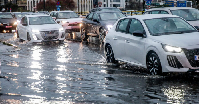 botiliarisma 1200x630.jpg