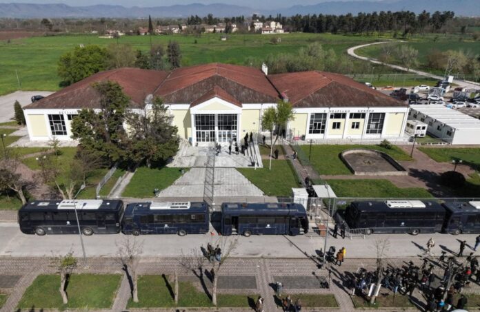 diki tempi 1037x675.jpg