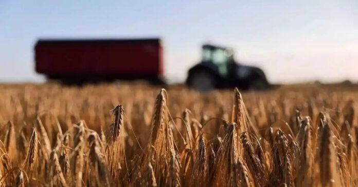 farmers sitari trakter reuters s 2 1200x630.jpg