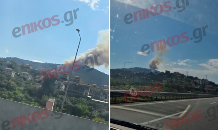 fotia akrata axaia3.jpg